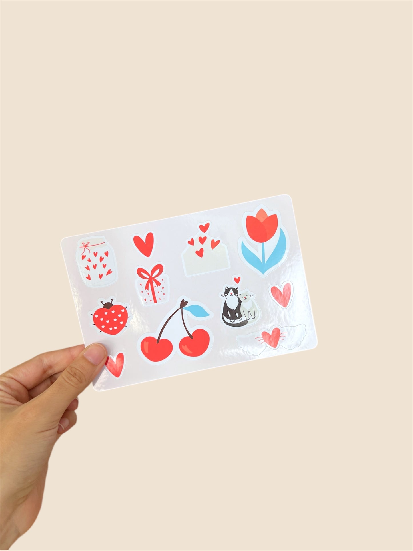 Sobre VOL 8 (Feb 26)